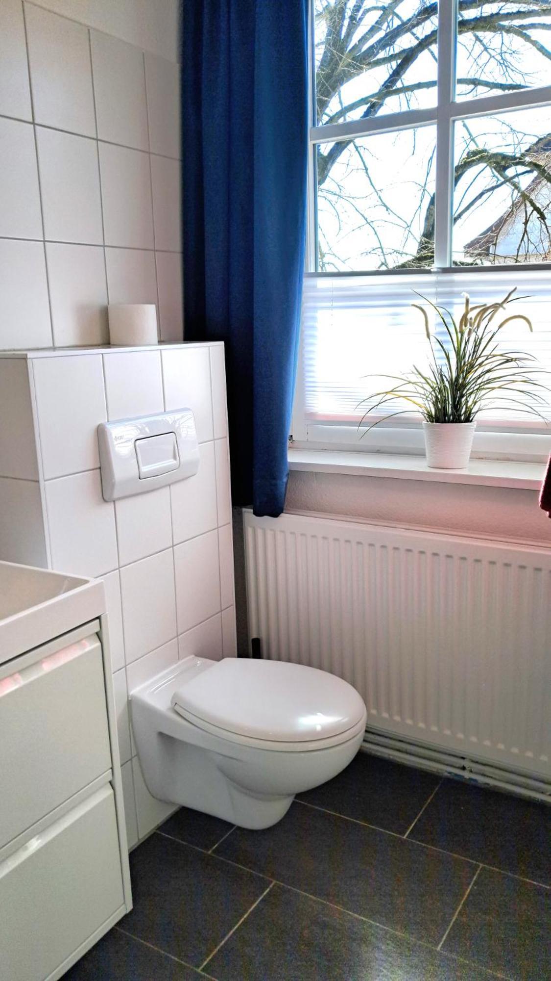 Apartment Brauner Hirsch Celle Kültér fotó