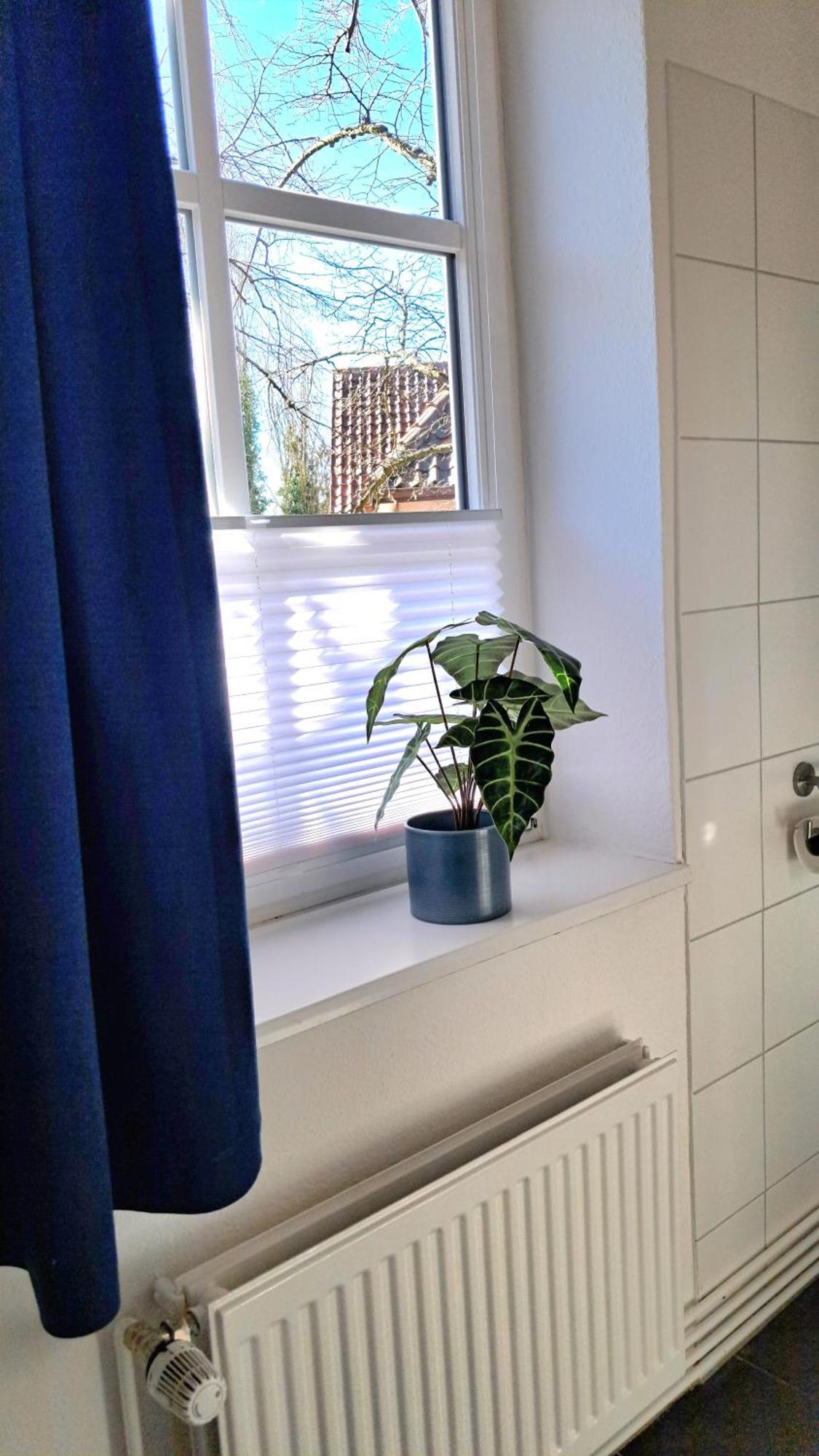 Apartment Brauner Hirsch Celle Kültér fotó